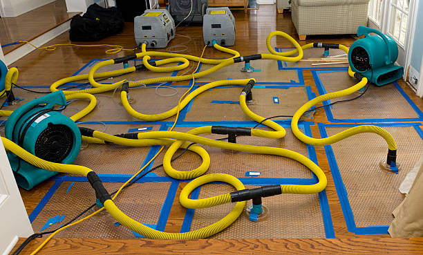 Professional Water Damage Repair technician working in Bretz, WV
